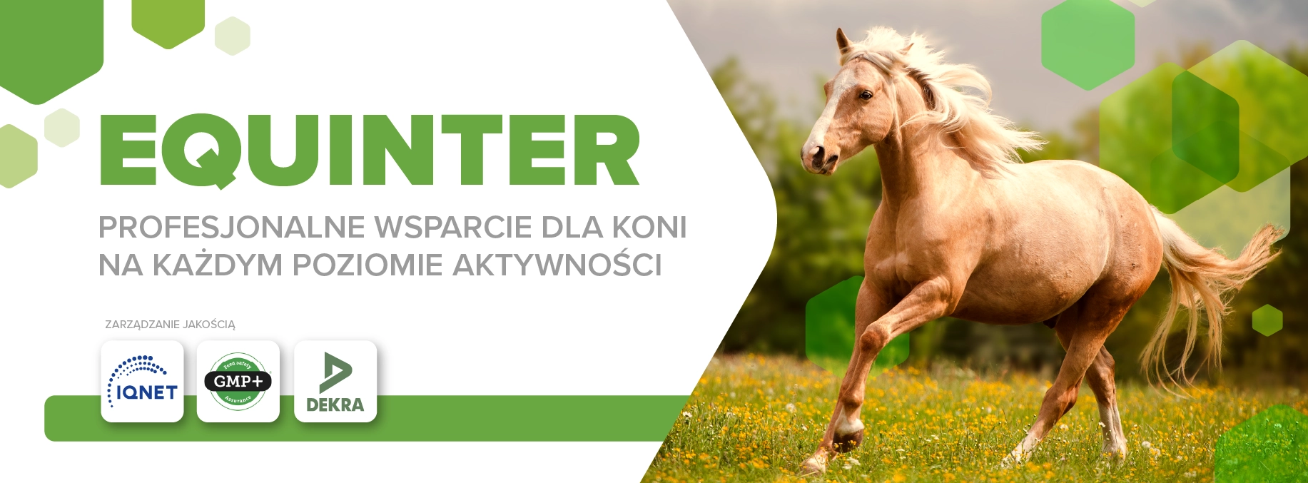 Header_Intermag_1833x677